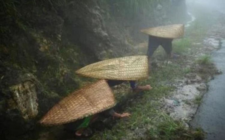 全球最潮湿的地方,一年约335天都在下雨,肯定没体验过烈日模式