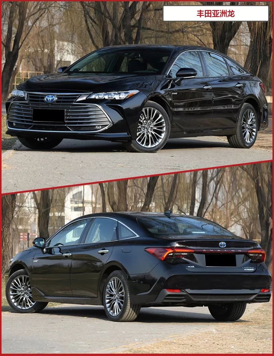 2款20万级热门合资中型车对比，新款大众迈腾对比丰田亚洲龙！