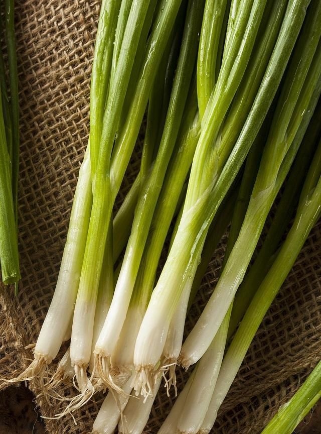 不了解大葱的植物性特征怎么可能种好大葱,一起来了解一下吧!