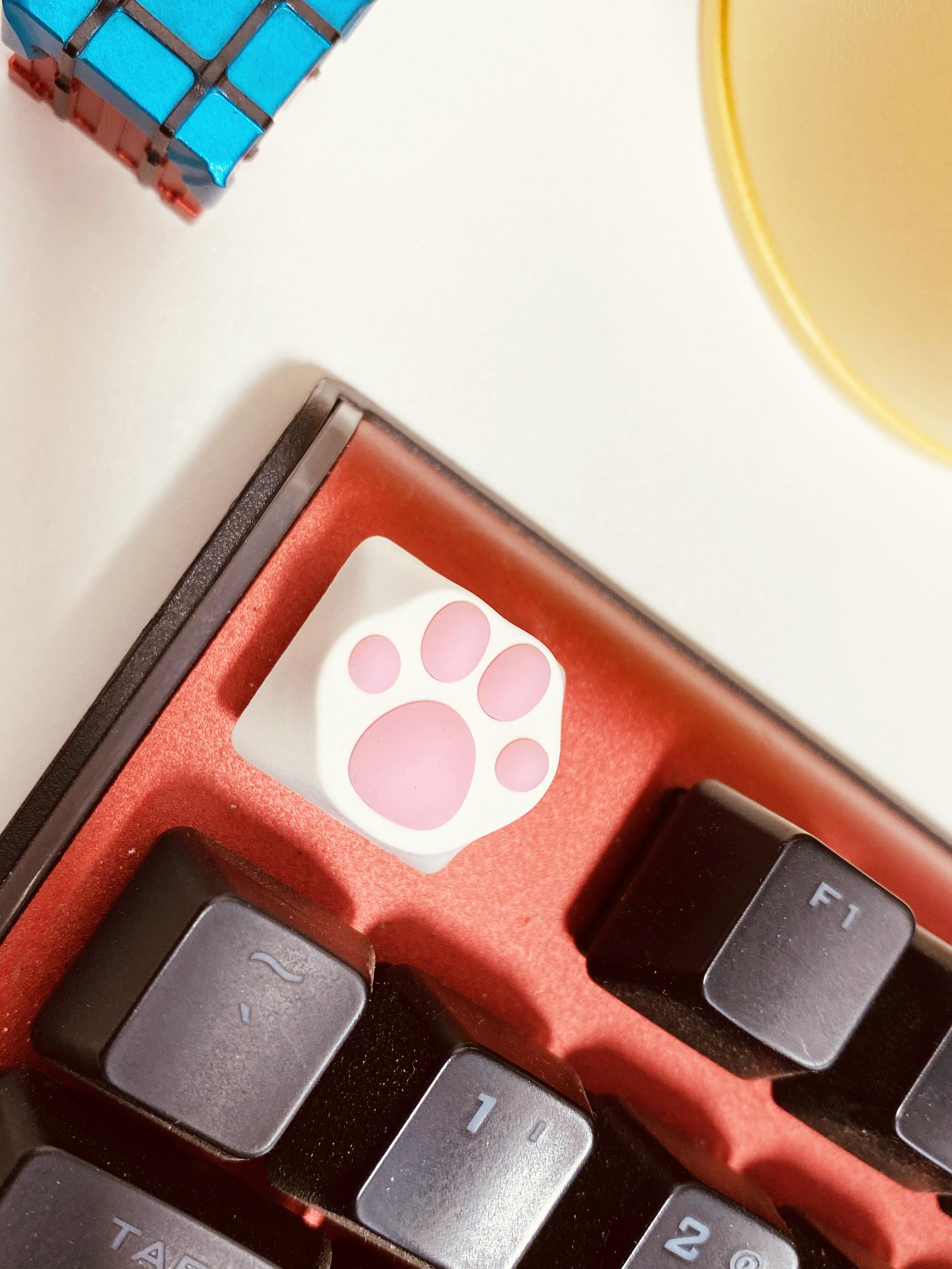 林俊杰吃鸡同款!ZOMO猫爪键帽简评!