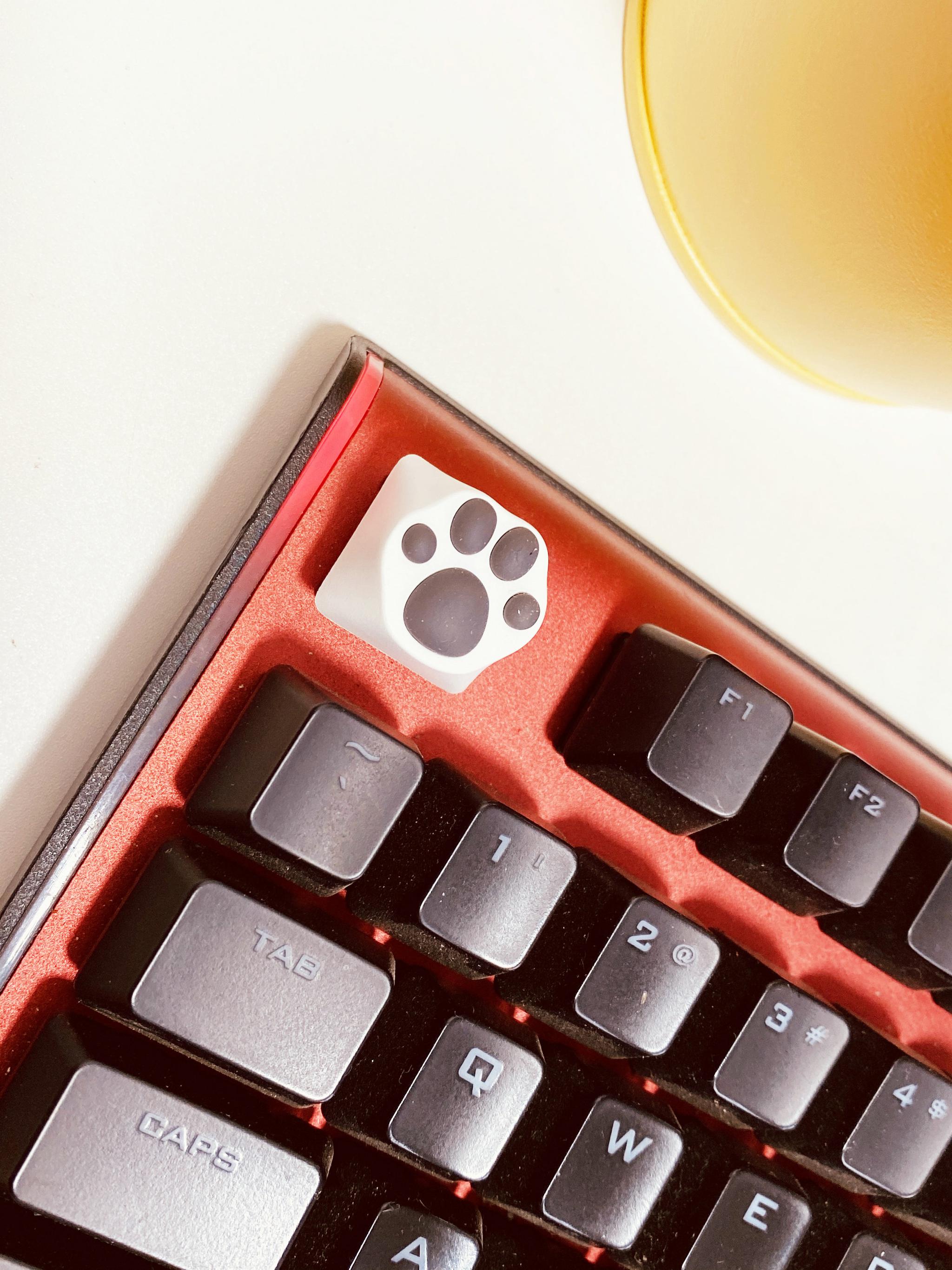 林俊杰吃鸡同款!ZOMO猫爪键帽简评!