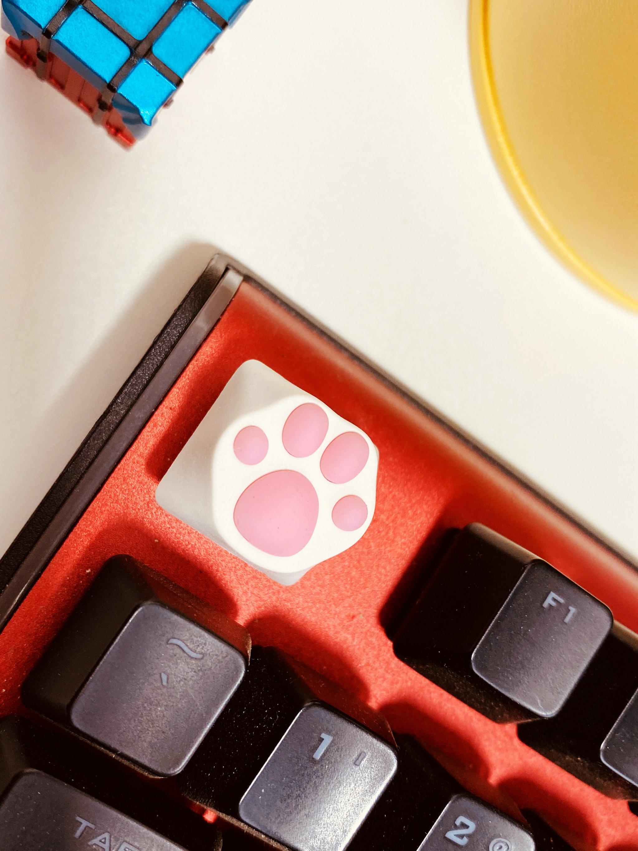 林俊杰吃鸡同款!ZOMO猫爪键帽简评!