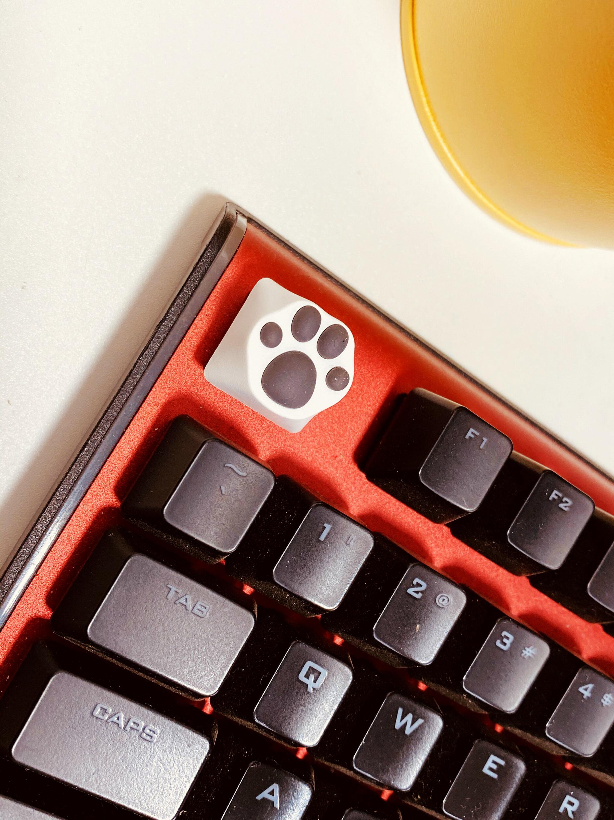 林俊杰吃鸡同款!ZOMO猫爪键帽简评!