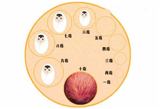 顺产时"开十指"到底有多疼?很多孕妈开到5指,尖叫受不了了!