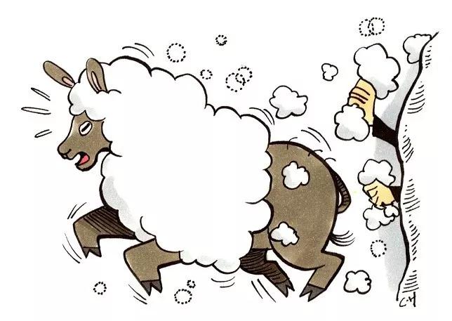 暗访恶意退款薅羊毛90后00后成网络黑产主力军