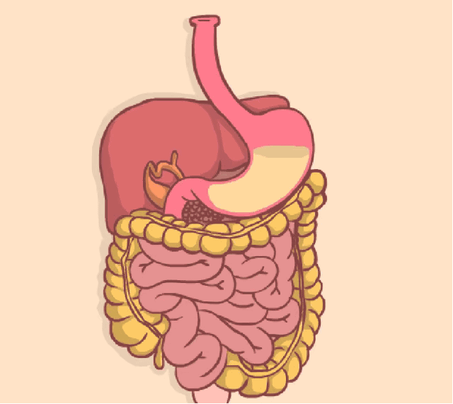 这本是一件十分倒霉的事,可当事人陈叔却误打误撞地揪出了食管癌,庆幸