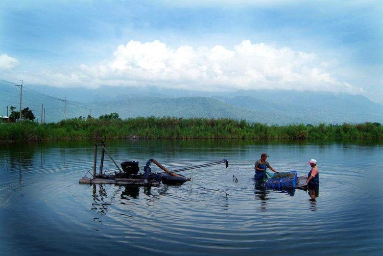 湖北的三胞胎城市,都是鱼米之乡,同年成为直管市,现经济均垫底