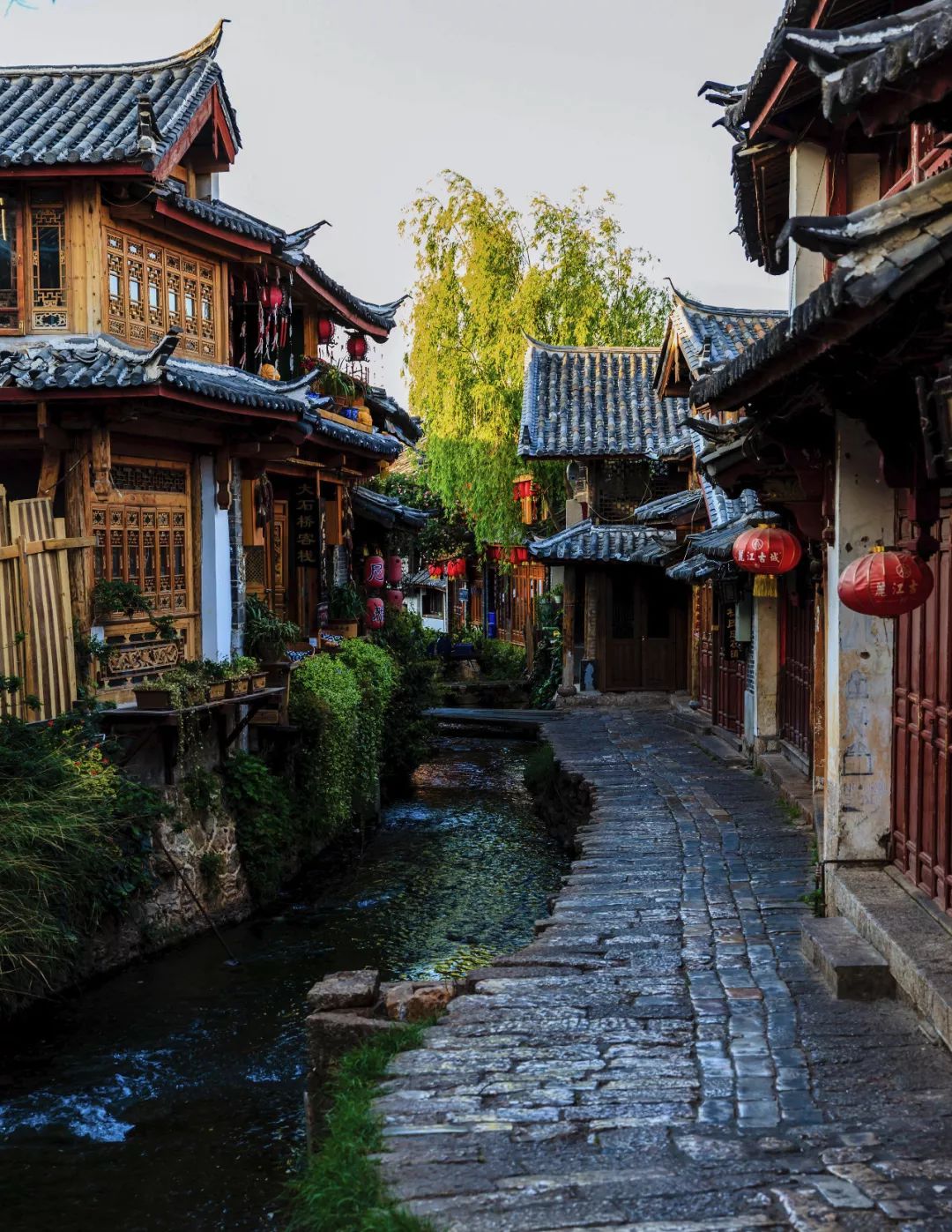 这才是丽江!|玉龙雪山|古城_新浪新闻