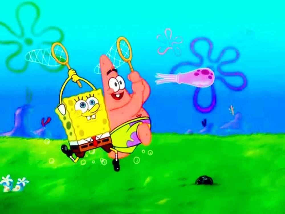 海绵宝宝|派大星|海星_新浪新闻