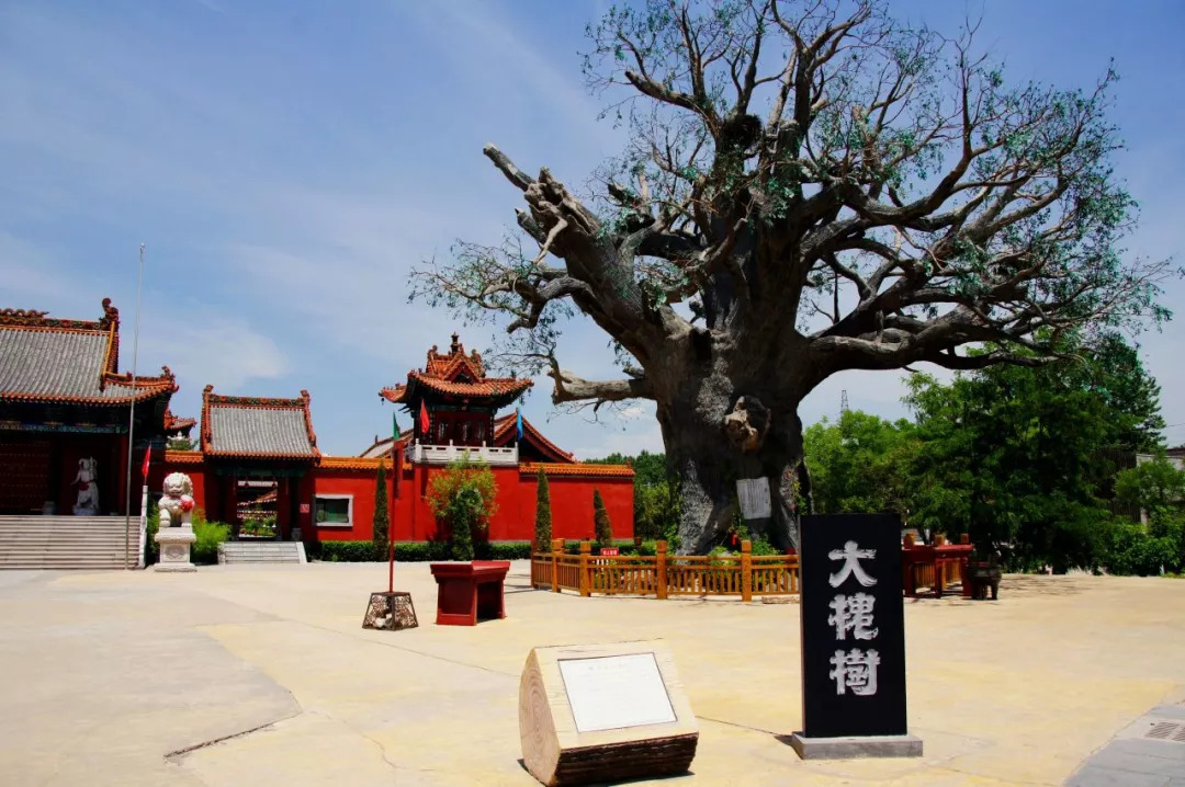 山西洪洞,是个什么样的地方?|洪洞|县市|洪洞县_新浪新闻