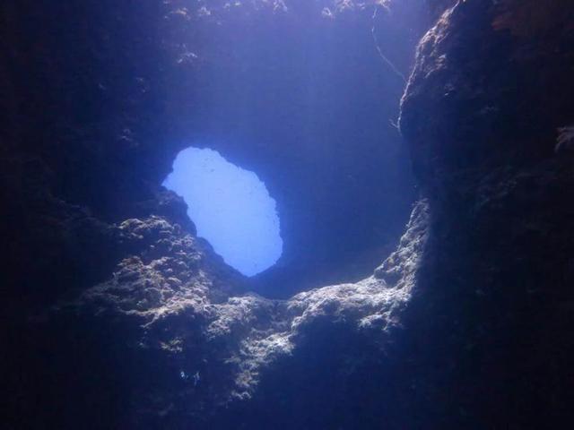 這裡的藍洞處於巴哈馬島,巴哈馬島上的岩石屬於石灰岩,在兩三百萬年前