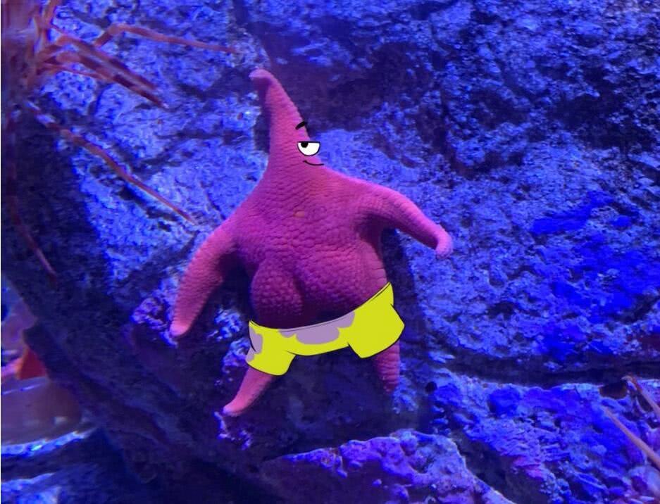 海绵宝宝最催泪的一幕听到派大星这句话多少人哭过