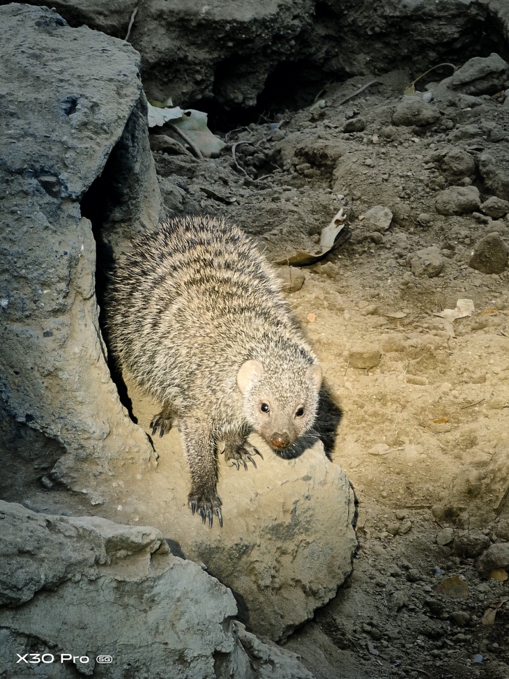 手机也能玩长焦vivox30pro60倍变焦给你专业级影像体验