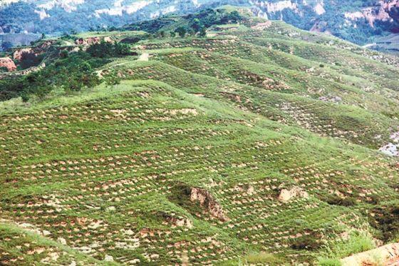 资深记者直播报道:榆社最出名的小巷子,2025年榆社小巷文化深度解析与游览推荐