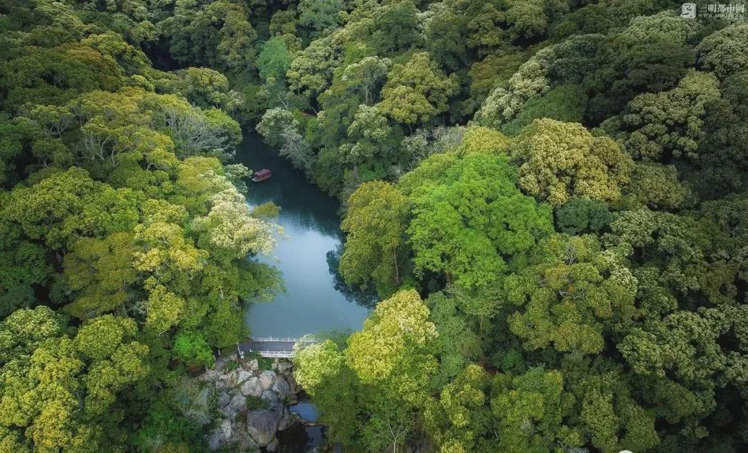 绿都三明清新,绿色,宜居