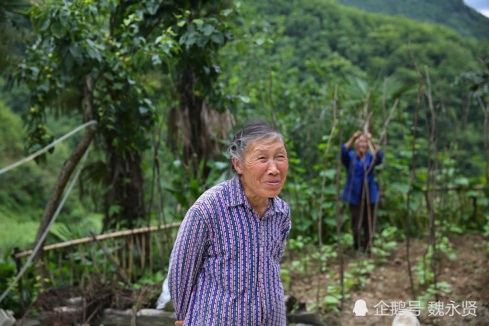大山里的留守老人们,八九十岁了照样种地喂猪养鸡,靠山吃山