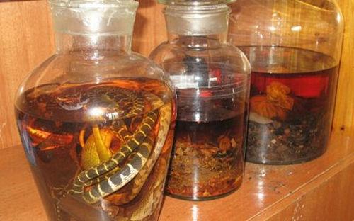 这东西千万不能用来泡酒,毒性是砒霜的100倍以上