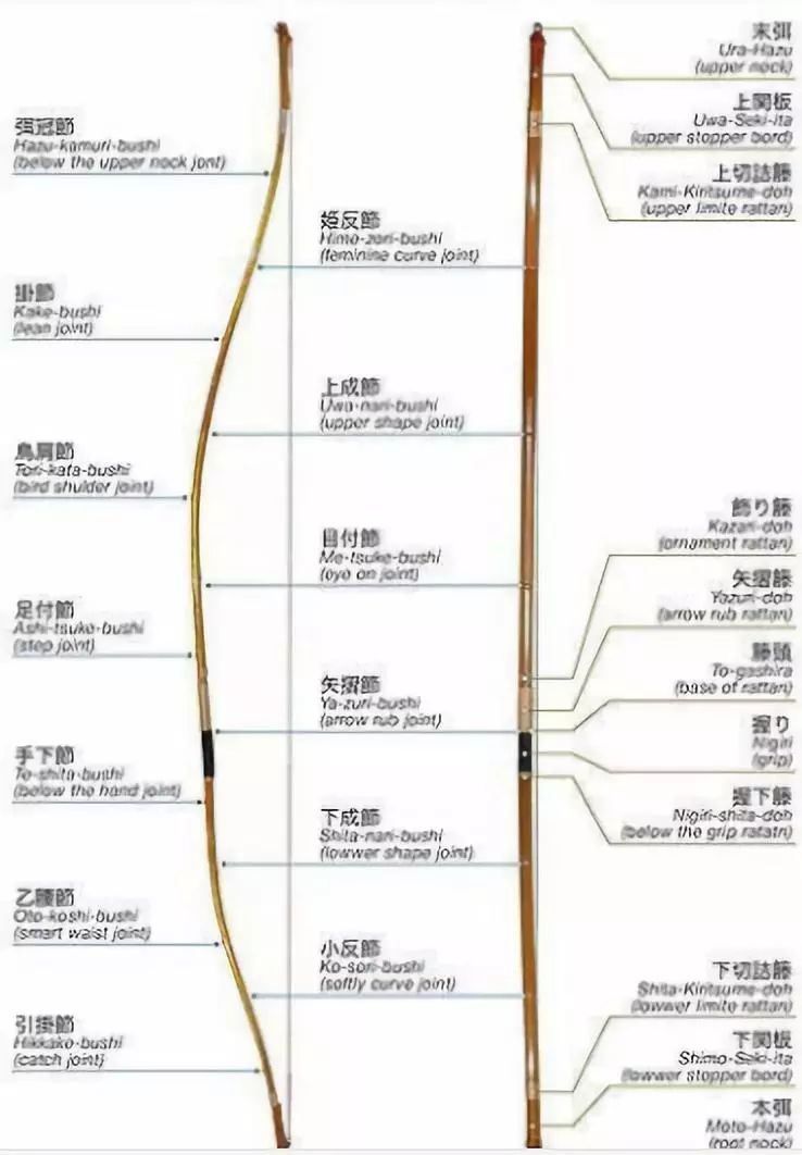 中国古代不用长弓?唐军人手一把,连李世民都是狂热粉丝|长弓|唐军|角_新浪新闻