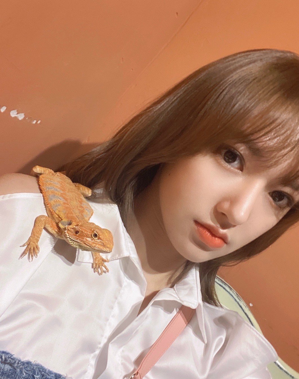 程潇晒自拍 让蜥蜴贴皮肤趴肩膀上面对面拍照