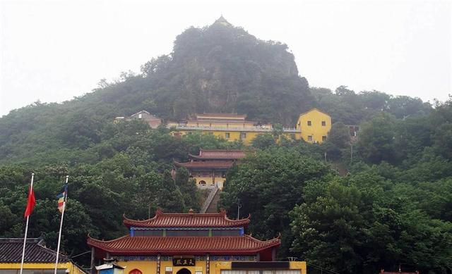 六安鹅块鹅杂？