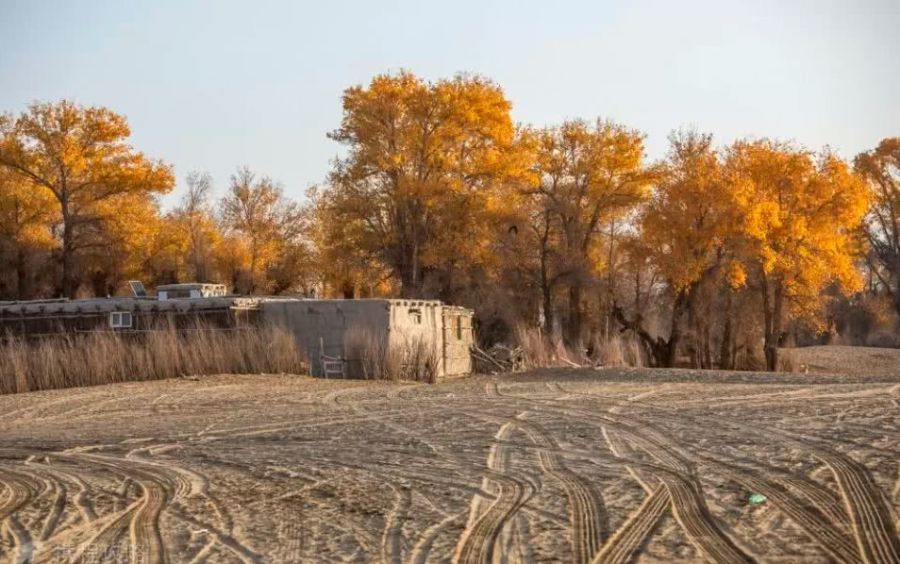 塔克拉玛干沙漠深处特色民俗村落大河沿民俗村