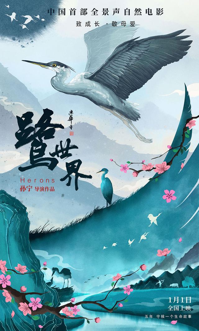 《鹭世界》:真实呈现苍鹭生活与成长,真切呼吁生态和谐及保护