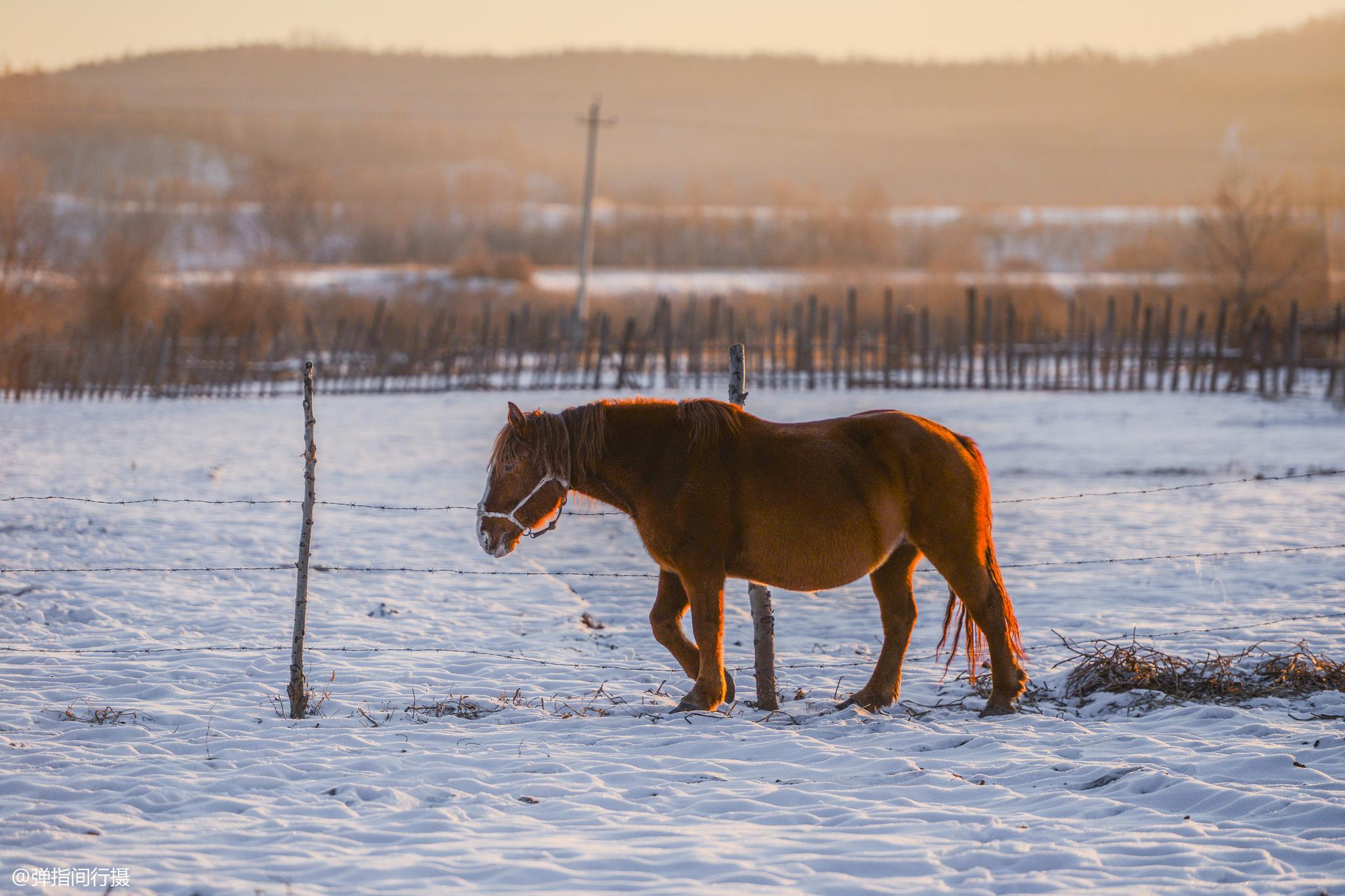 探秘零下40度的鄂伦春,邂逅冰雪日出胜景,普通村庄都美如仙境