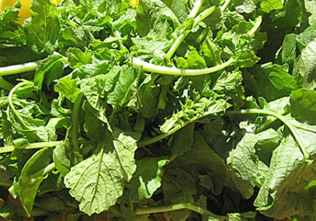 晒干的萝卜缨子方便储存,还能搭配各种食材,味道杠杠滴