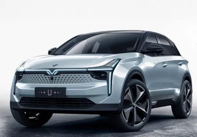 风口上的“猪坚强” 看2020年新能源车上市