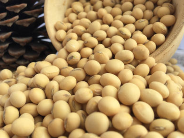 癌症的"特效药"发现了,这些食物每天放开吃,癌细胞可能不来扰