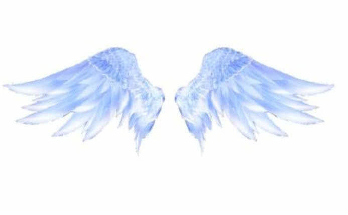 心理测试挑出你喜欢的一双翅膀测出你目前最需要的是什么