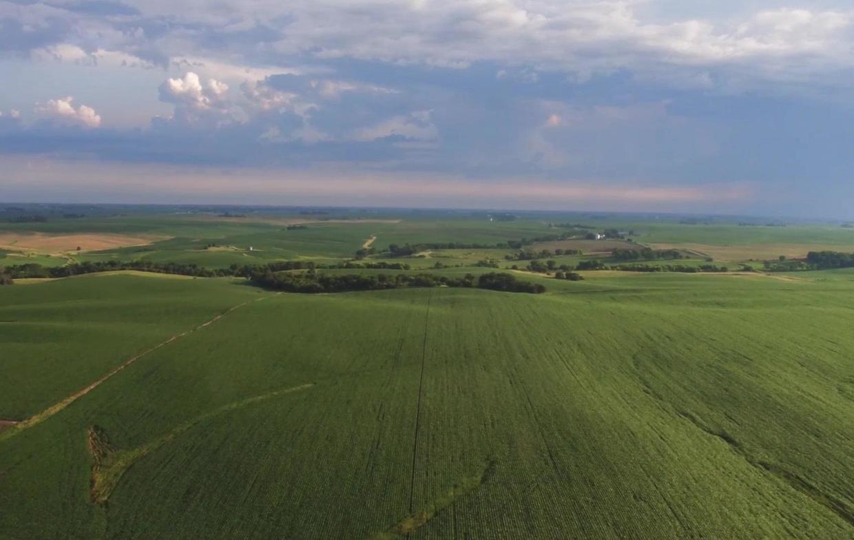 北美中央大平原世界上有许多著名的平原,比如亚马孙平原,东欧平原,西