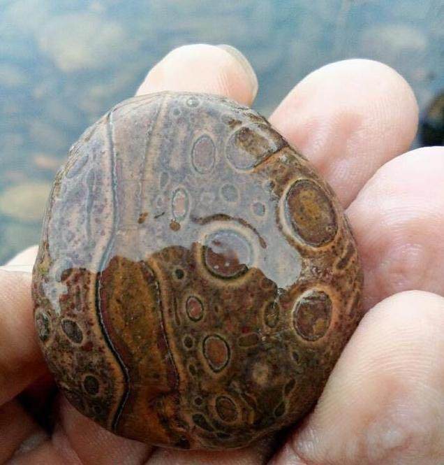 农村大叔河边捡回一块"长眼睛"奇石,好美,却不知是不是好东西