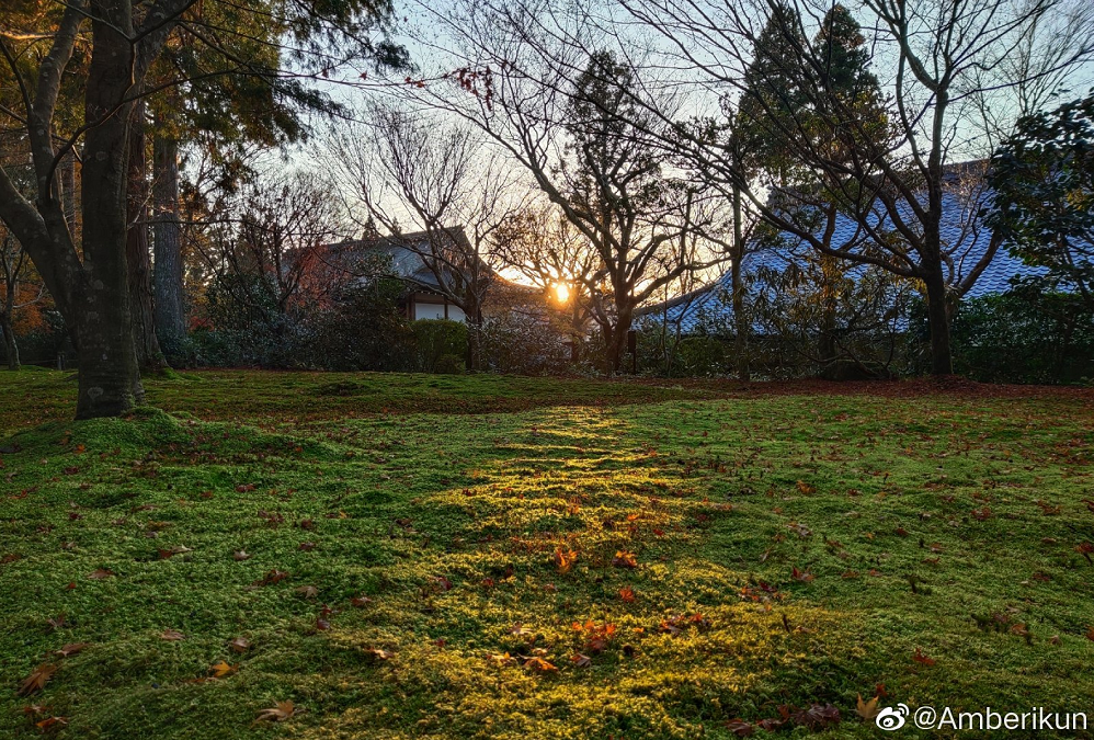 几乎没有vivos5搞不定的拍照场景有图有真相