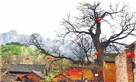 河南渑池千年古村，古树参天的“石头村”，感受耕读之家恬淡生活|赵沟|村子|渑池县_新浪新闻