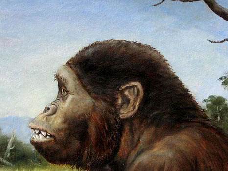 人类是否起源于"海猿"为什么有科学家会提出这个奇怪的假设?