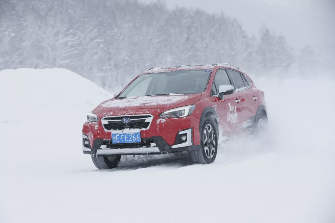 在喀纳斯体验斯巴鲁的雪上"硬"功夫-新浪汽车