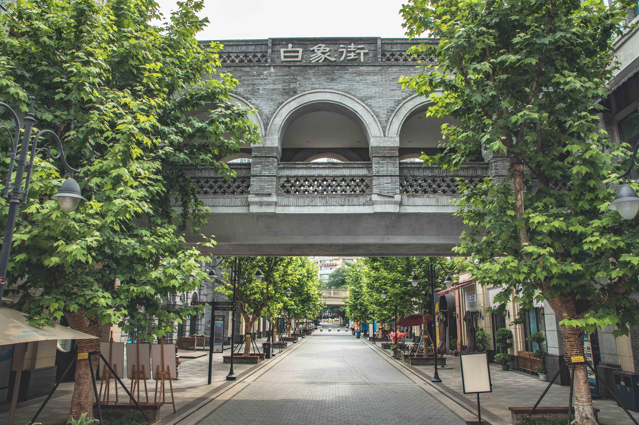 回首2019,厉害了,我的重庆白象街