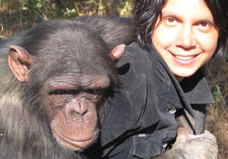 并认为自己是人类的猩猩,如今怎么样了|黑猩猩|人类|科学家_新浪新闻