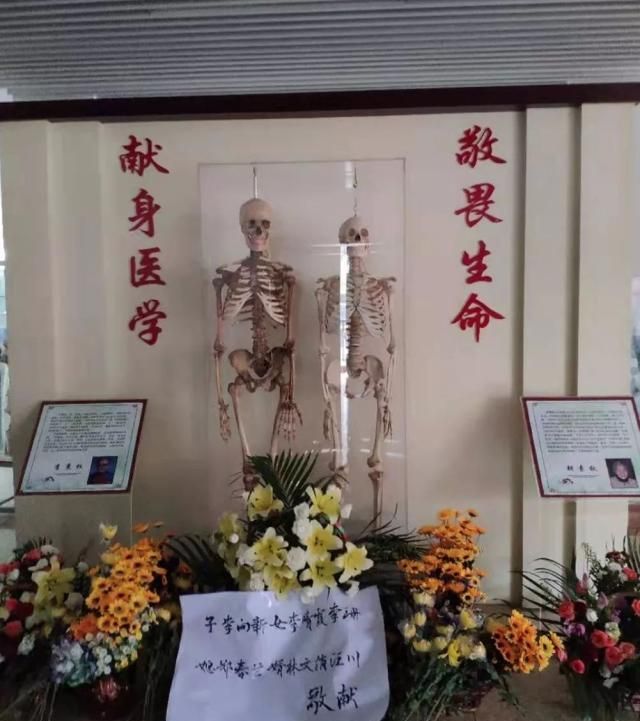 丈夫去世后捐献遗体,5年后妻子离世追随亡夫,14年后白骨重逢休闲区蓝鸢梦想 - Www.slyday.coM 丈夫去世后捐献遗体,5年后妻子离世追随亡夫,14年后白骨重逢休闲区蓝鸢梦想 - Www.slyday.coM