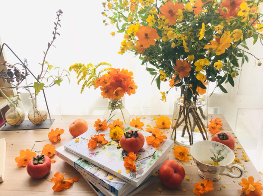 老了以后,有个小院养养花,过悠闲惬意的生活!