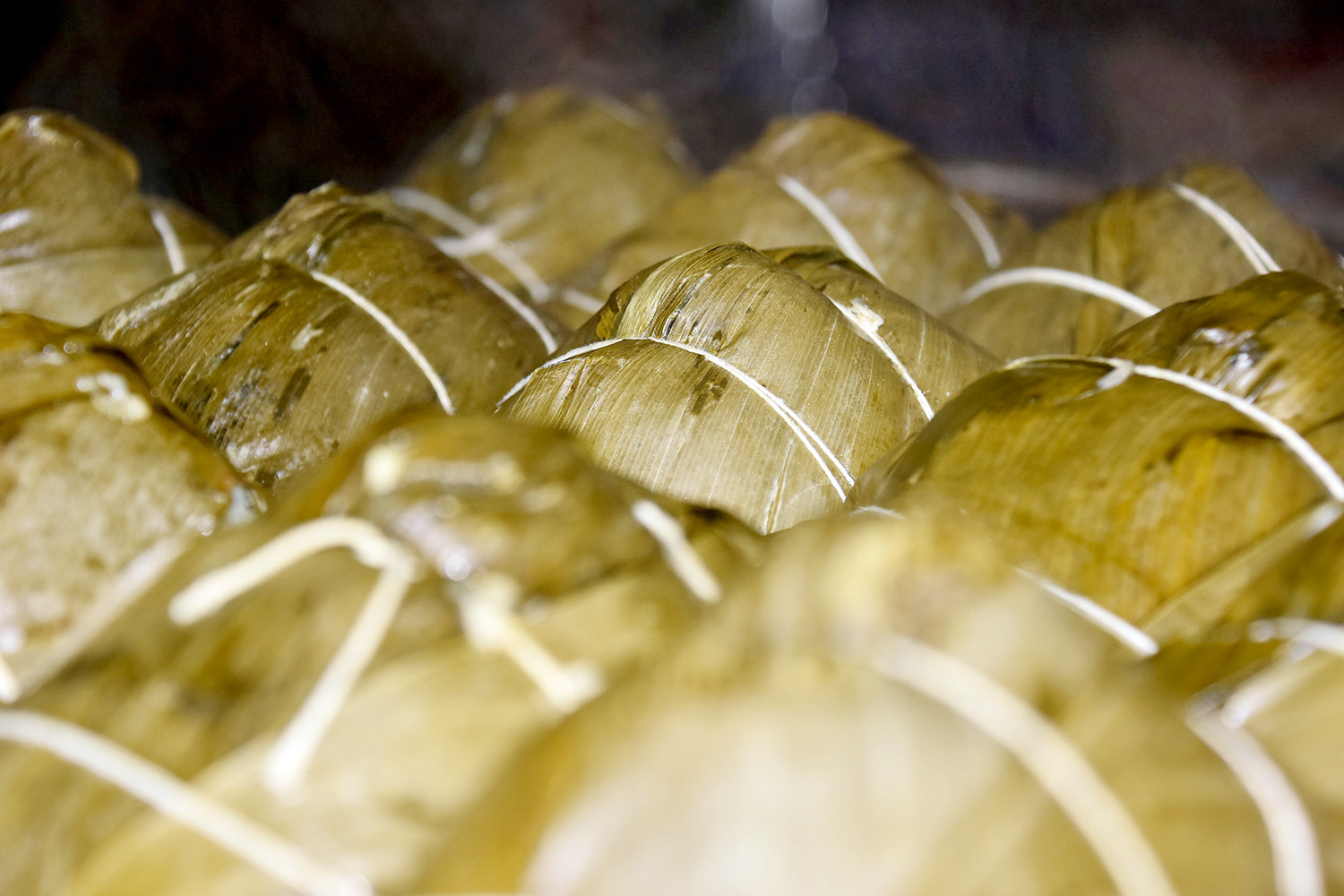 2020年,我只"粽"意你 | 一只会讲广西故事的非遗粽