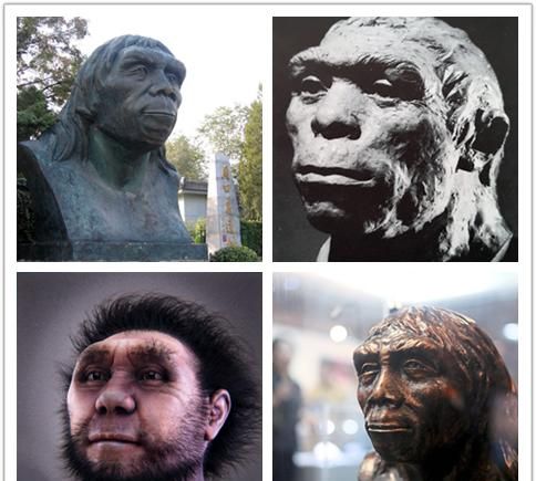 他们去哪儿了?|去哪儿|直立人|智人_新浪新闻