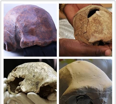 直立人长啥样他们去哪儿了