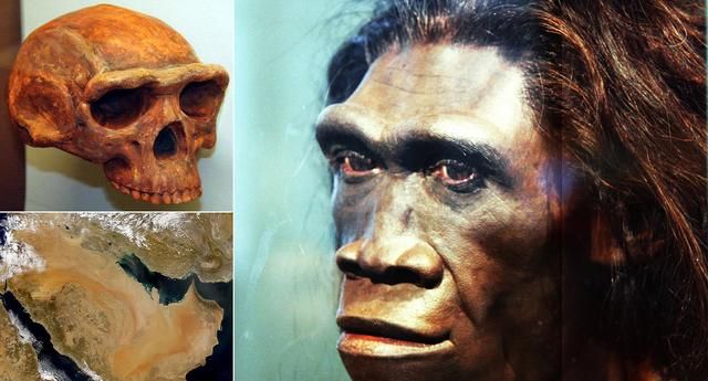 根据"单地起源说",现代人类的祖先为智人,智人于22万年前走出非洲