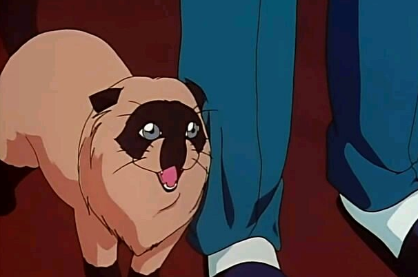 我们忽略了名侦探柯南不少的穿帮镜头青山老师是故意的吗