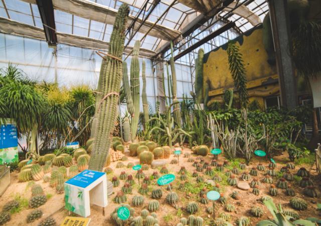 亚洲最大室内热带植物园,植物繁多各具特色,就在天津!