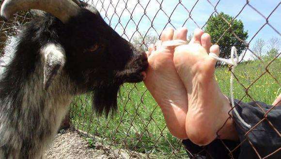 世界上"最温柔"的刑罚,没有丝毫疼痛,却能让人生不如死|刑罚|犯人|挠