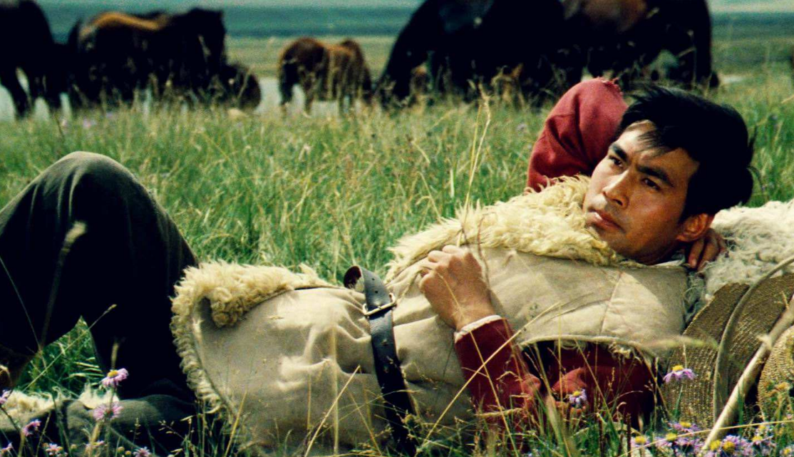 牧马人幕后故事导演是赵薇恩师男女主角演完电影被人鄙视