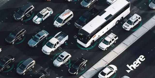 你看2019年的样子，好像一条狗